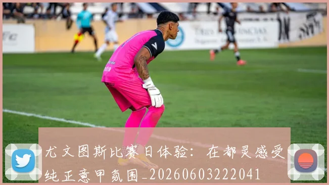 尤文图斯比赛日体验：在都灵感受纯正意甲氛围_20260603222041